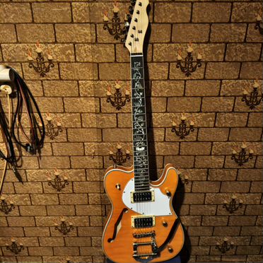 Электрогитара полуаккустика