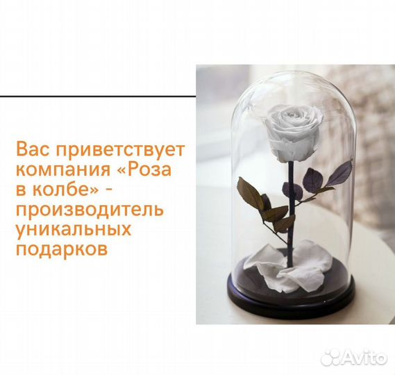 Роза в колбе новая