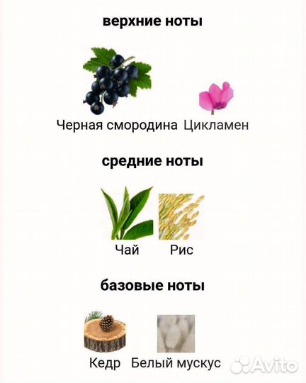 One Umbrella for Two Floraiku 25мл