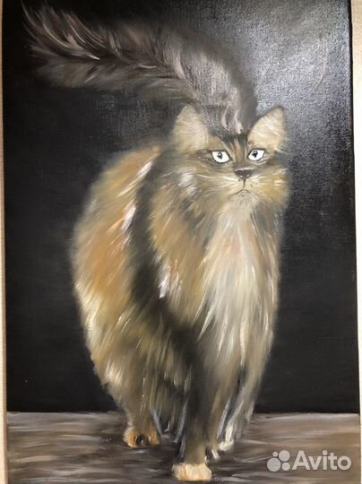 Картина на холсте «Котик»