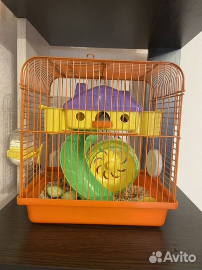 Джунгарский хомяк с клеткой бесплатно