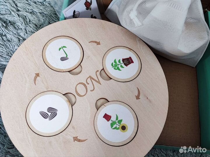 Развивающие игрушки Цикл Жизни