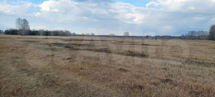 Участок 25 га (СНТ, ДНП)