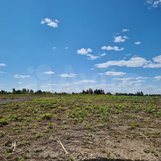 Участок 8,1 сот. (ИЖС)