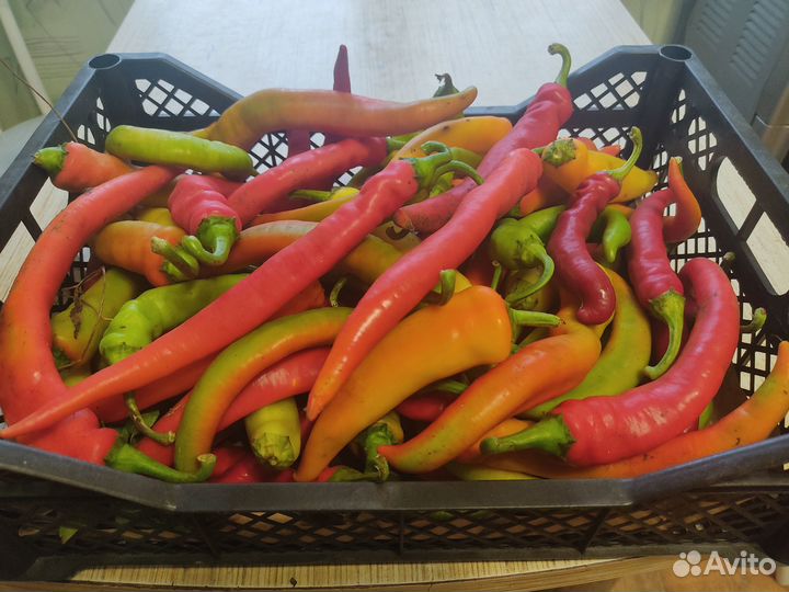 Перец острый