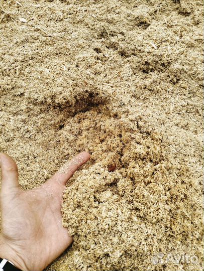 Опилки Бесплатно Много