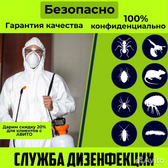 Уничтожение клопов, тараканов, кротов. Дезинфекция