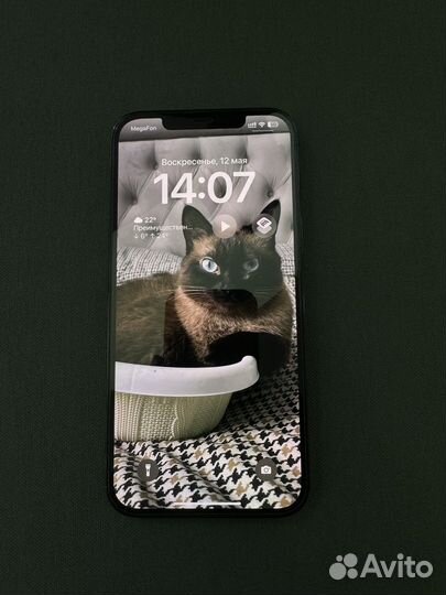 iPhone 12 Pro Max, 256 ГБ