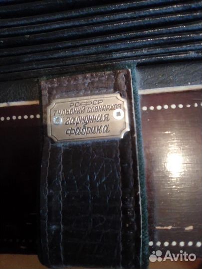 Гармонь