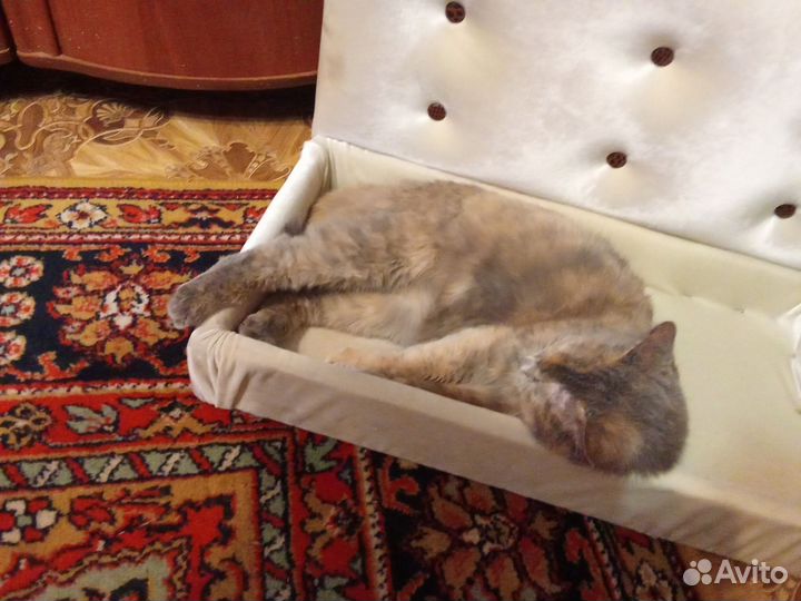 Изготавливаем на заказ под ваши предпочтения