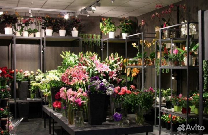 Прибыльный цветочный бизнес