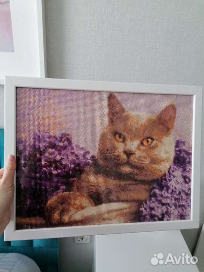 Картина алмазная готовая