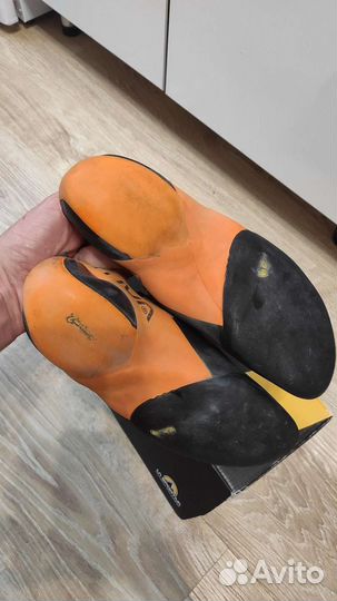 Скальные туфли