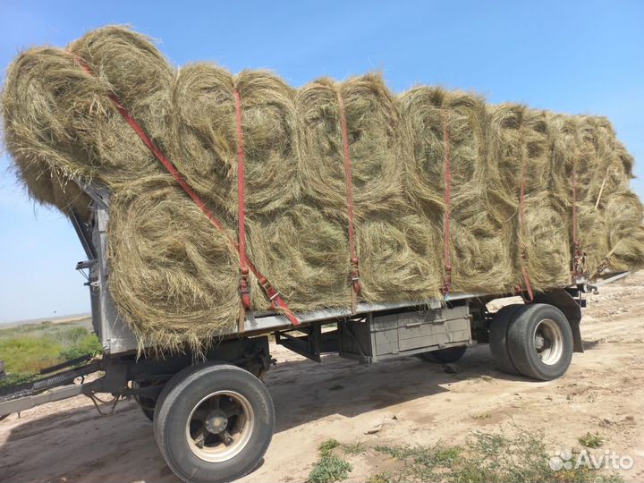 Сено луговое разнотравие