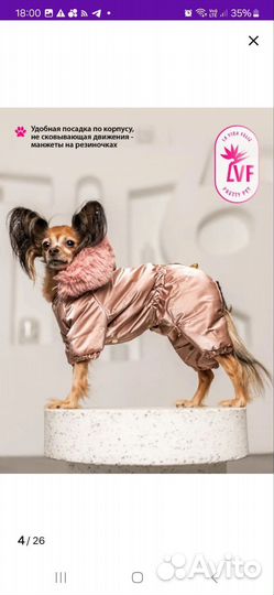 Комбинезон для маленькой собаки (девочки) зимний