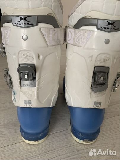 Горнолыжные ботинки dalbello женские