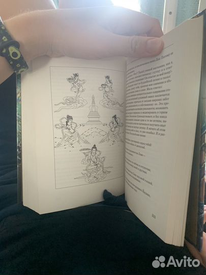 Книга поющий о свободе жизнь цогина