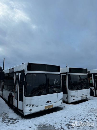 Городской автобус МАЗ 103, 2011