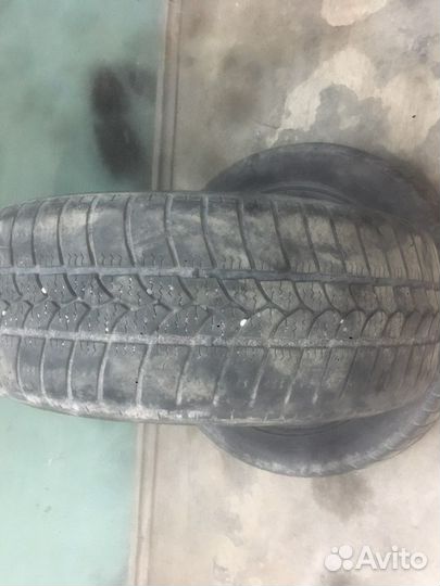 Tigar Ice 195/55 R15 H