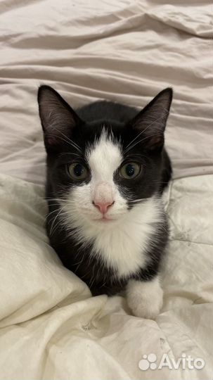 Страшненький мальчик