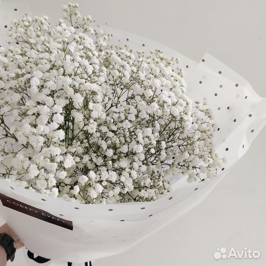 Белая гипсофила с доставкой по Сургуту