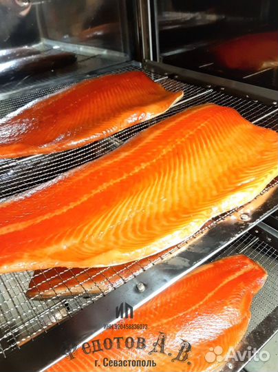 Коптильни Дачные для всех видов Копчения