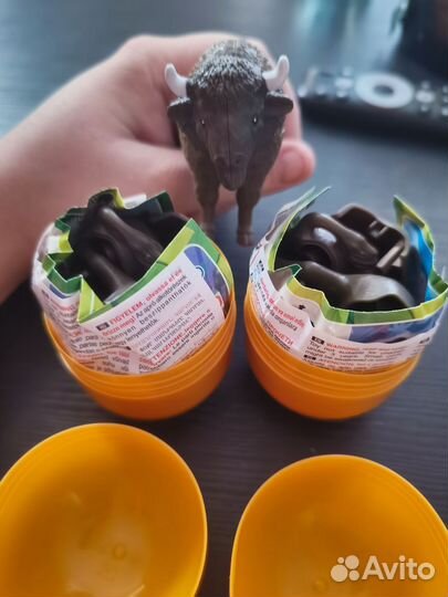 Киндер макси натунс