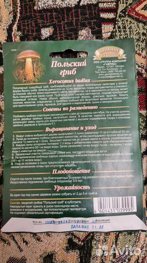 Мицелий грибов подберезовик польский гриб