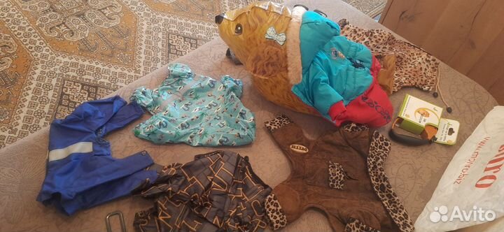 Одежда для маленьких пород собак