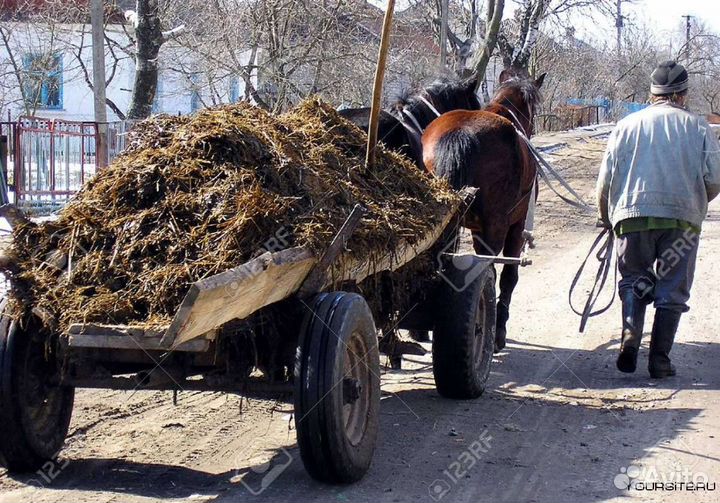Продажа дров
