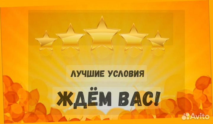 Автоэлектрик вахта Выплаты еженед. Жилье /Еда /Хор