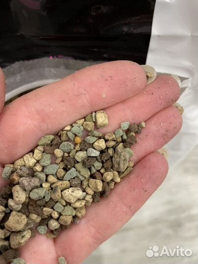 Лечуза и грунт для суккулентов