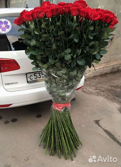 Розы Букеты Цветы Розы 31 101 151 201 Доставка