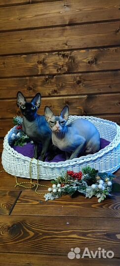 Лежанка для кошек и собак из ротанга