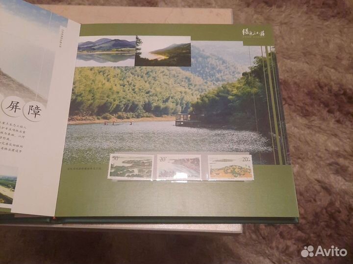 Книга из Китая