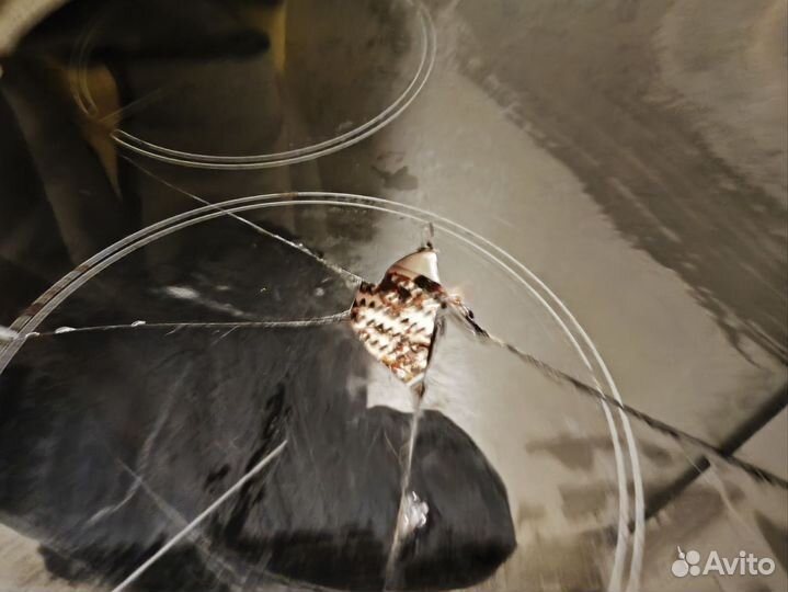 Варочная панель