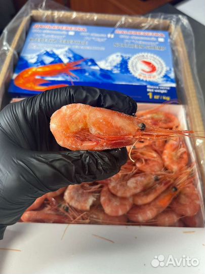 Креветка Северная Сахалинская 70/90