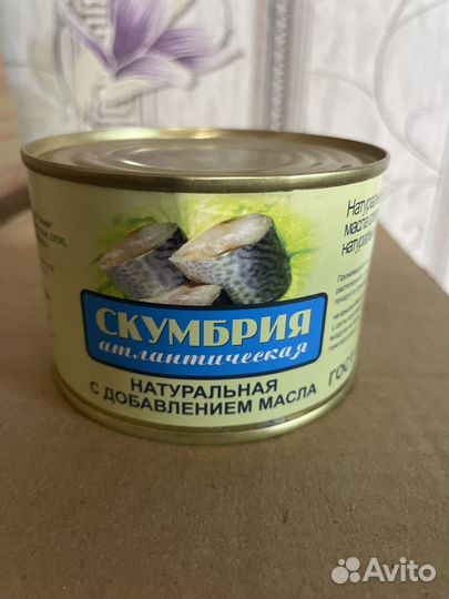 Скумбрия