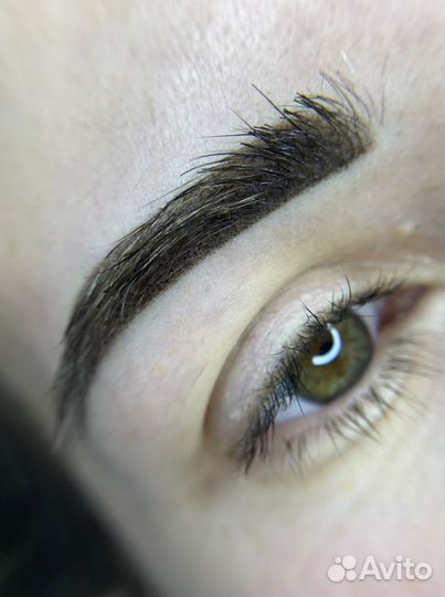 Архитектура бровей