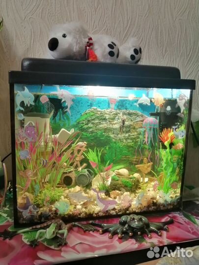 Аквариум