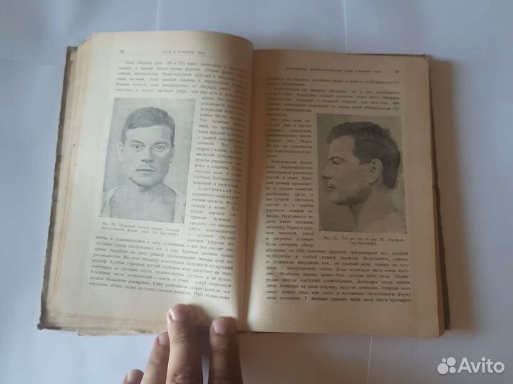 Раса и строение тела, Вейденрейх, 1929 год