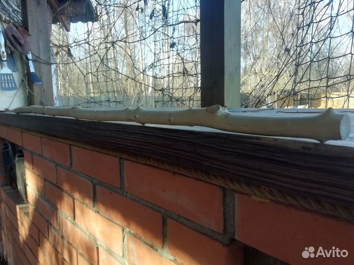 Самшит 120см прямой