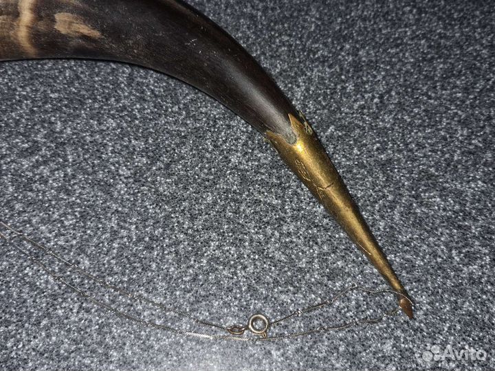 Рог декоративный