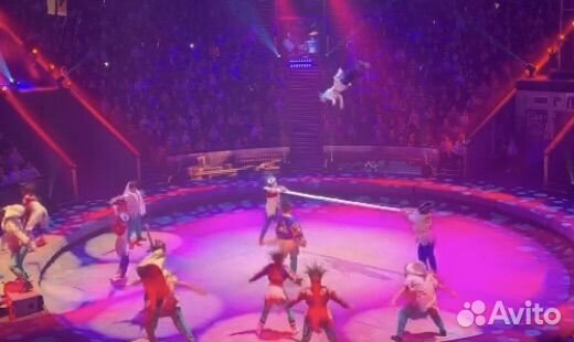 Настоящие Билеты в Цирк Вернадского