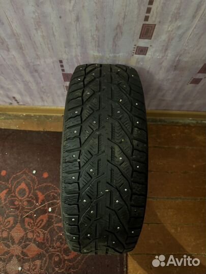 Tigar Ice 195/55 R16 91T