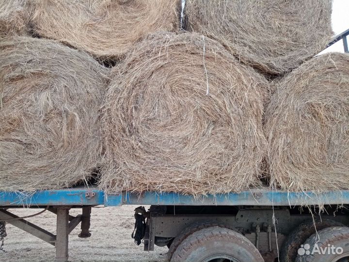 Сено в рулонах