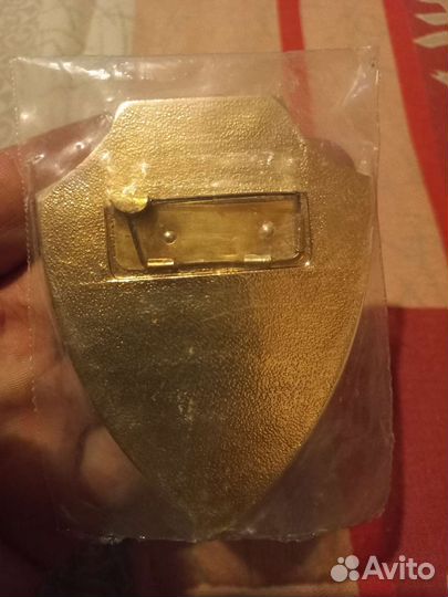 Значок Дружинник Волгоград