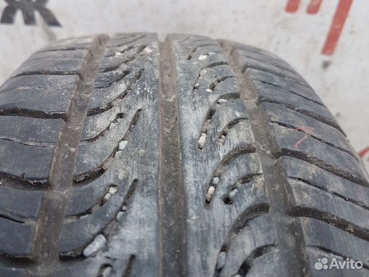 Gislaved Speed 616 175/65 R14