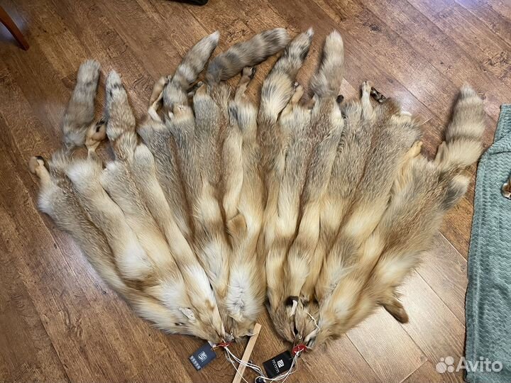 Шкуры лисы