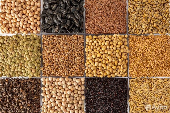 Корма для животных